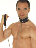 Collar with Studs and Dog Chain